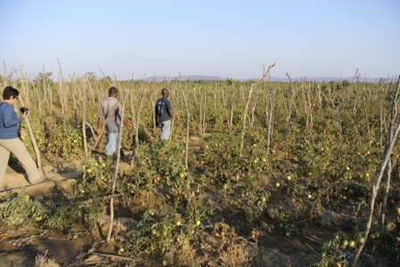 20120802-224455.jpg