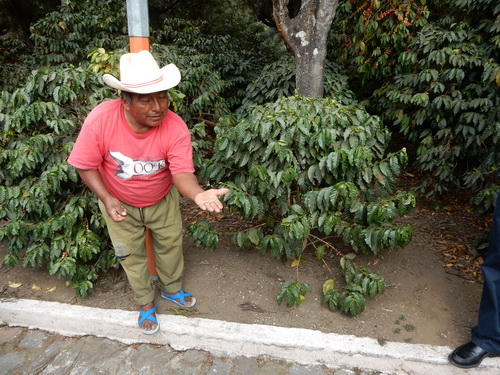 Luis Marroquin Showed Us Around the Farm and Plant